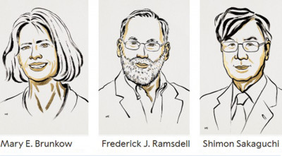 চিকিৎসাবিজ্ঞানে নোবেল পেলেন তিন বিজ্ঞানী