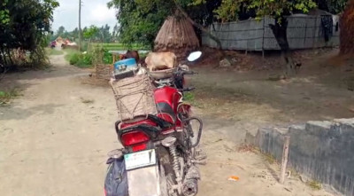 গাইবান্ধায় অ্যানথ্রাক্সের উপসর্গ নিয়ে নারীর মৃত্যুর খবর সঠিক নয়: স্বাস্থ্য বিভাগ