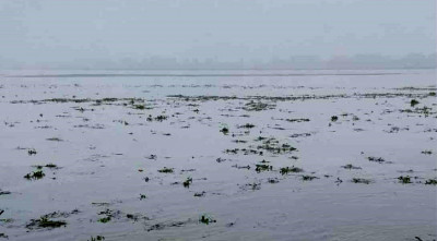 অস্বাভাবিক হারে বাড়ছে যমুনার পানি