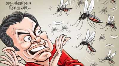 মশায় নাগরিক দুর্দশা চরমে