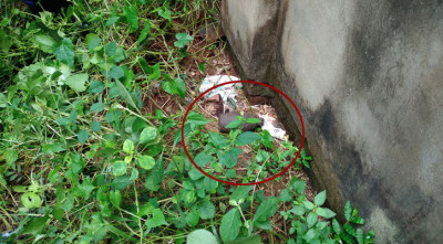 খাগড়াছড়িতে নির্মাণাধীন দোকানঘর থেকে গ্রেনেড উদ্ধার