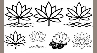 ইসিকে দেওয়া শাপলার ৭ নমুনা প্রকাশ করল এনসিপি