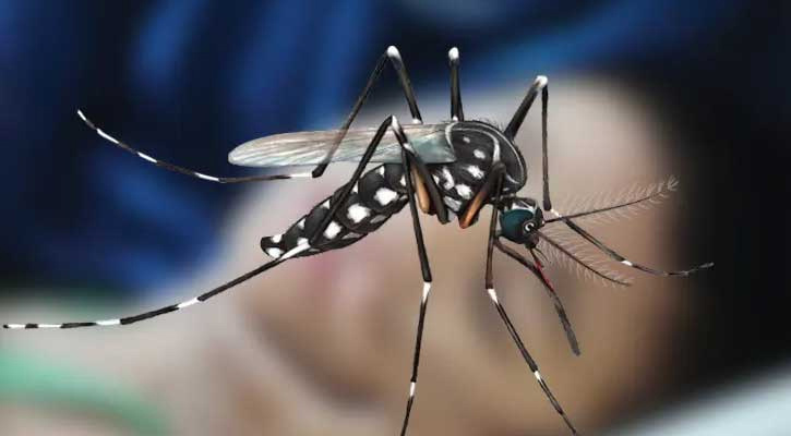 ডেঙ্গুতে চারজনের মৃত্যু, হাসপাতালে ভর্তি ৭৮১