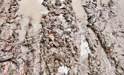 বৃষ্টিতে বাড়ে চার গ্রামের মানুষের চরম দুর্ভোগ