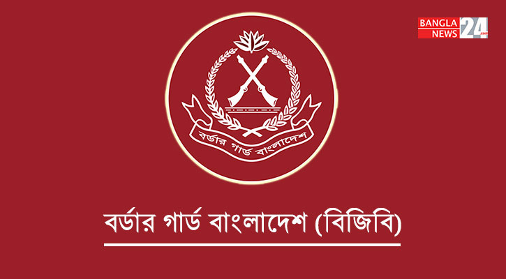 সেপ্টেম্বরে বিজিবির অভিযানে ১৭১ কোটি টাকার চোরাই পণ্য জব্দ