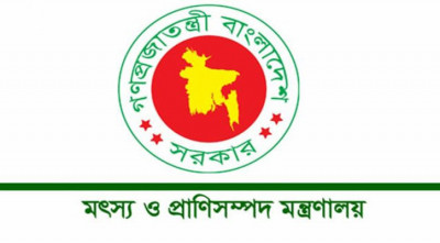 নভেম্বরের তৃতীয় সপ্তাহে ‘জাতীয় প্রাণিসম্পদ সপ্তাহ’ উদযাপনের উদ্যোগ