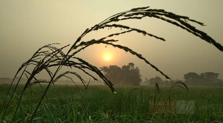 আসছে হিমেল হাওয়া, বিদায় নিচ্ছে বর্ষা