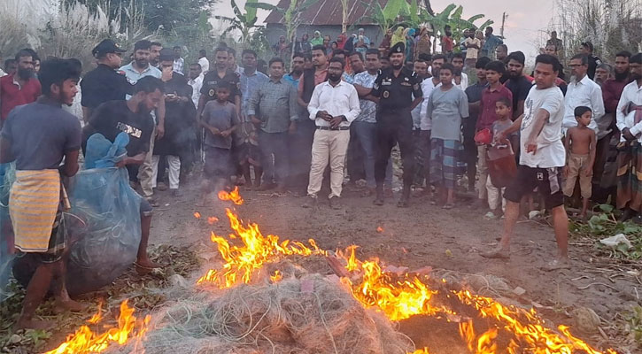 মা ইলিশ রক্ষার ১৭ দিন: শিবচরের পদ্মা নদীতে জব্দ কোটি টাকার জাল ধ্বংস