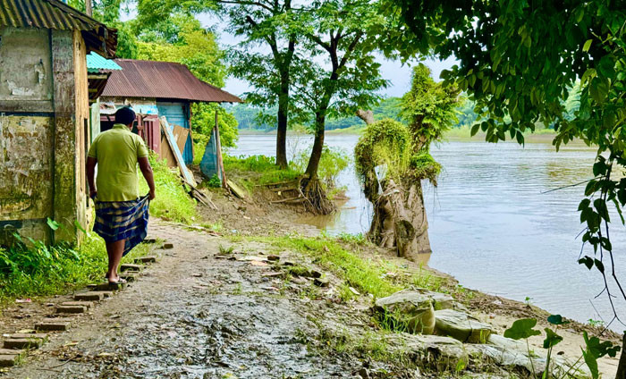 কুশিয়ারা নদীতে ভাঙনের কবলে দোকানপাট মসজিদ মাদ্রাসাসহ বসতবাড়ি। ছবিটি সিলেটের বিয়ানীবাজার উপজেলার ফাড়িরবাজার এলাকা থেকে তুলেছেন মাহমুদ হোসেন।