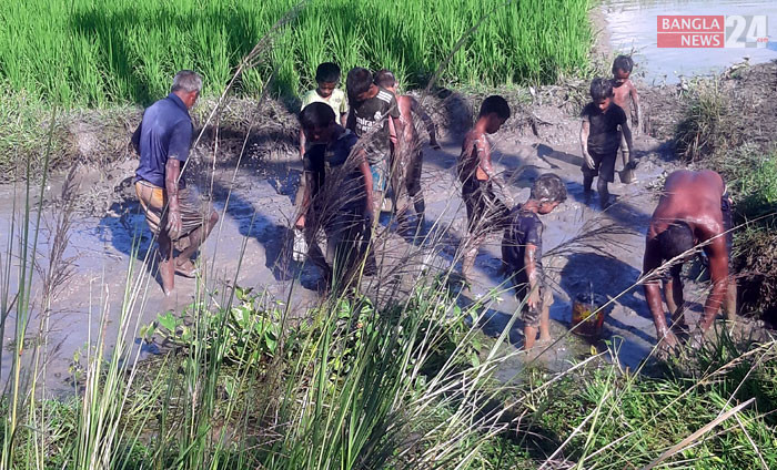 রংপুরের বদরগঞ্জ এলাকায় ডোবায় মাছ ধরছে শিশু-কিশোররা । ছবি: আমিরুজ্জামান