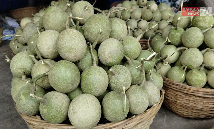 বাজারে এখন পাওয়া যাচ্ছে মৌসুমি ফল কদবেল। যাত্রাবাড়ী ফলের আড়ত থেকে ছবি তুলেছেন শাকিল আহমেদ